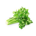 Factory Natural Celery Leaf/Celery Leaves/Apigenin Extract Powder
